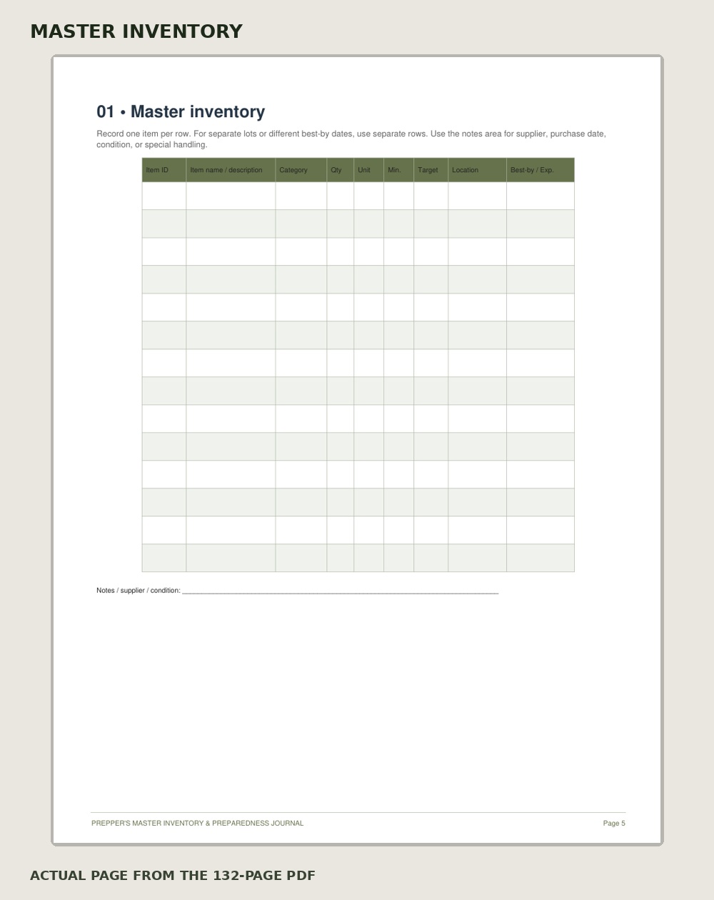 Actual master inventory worksheet preview
