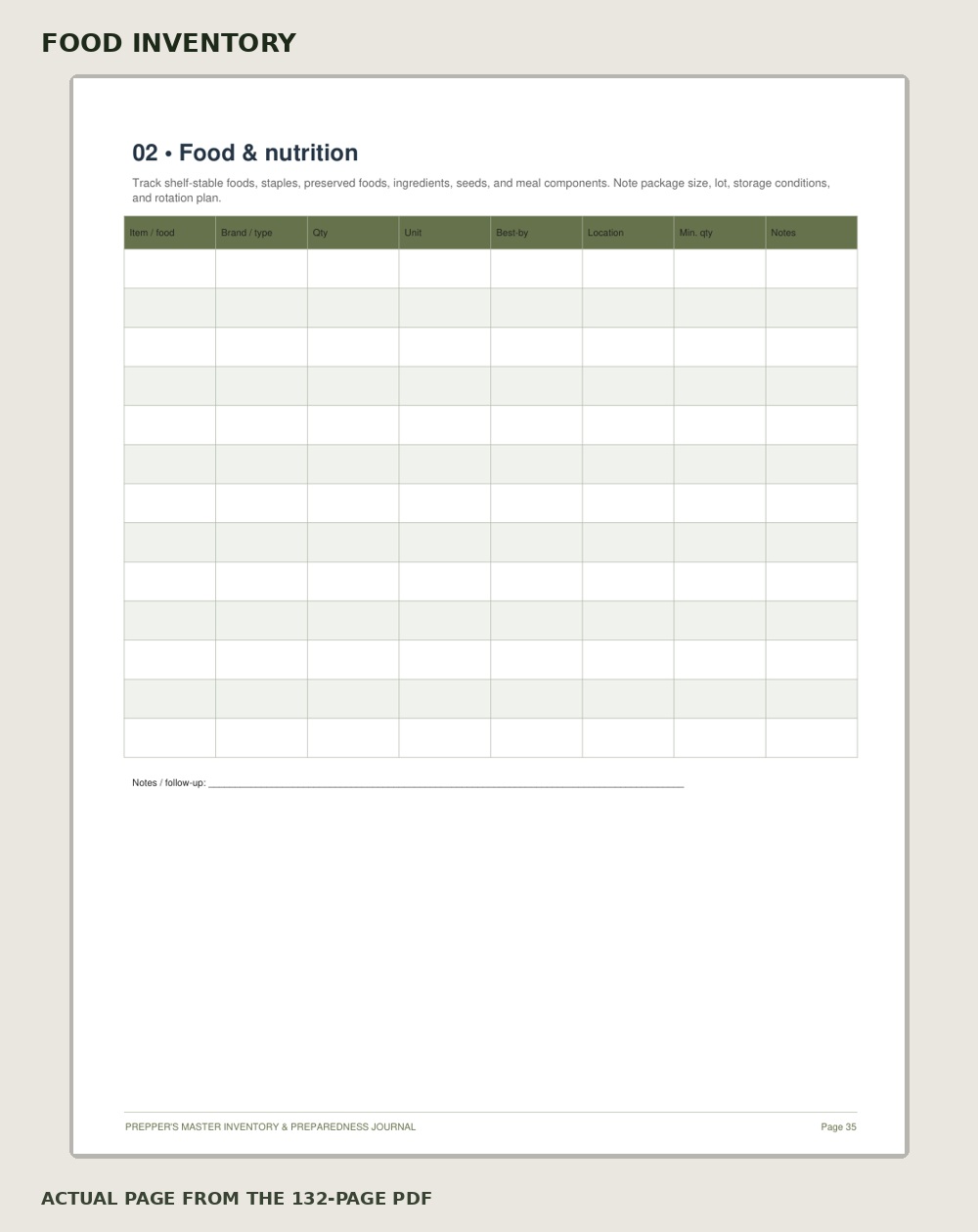 Actual food inventory worksheet preview